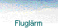Fluglrm